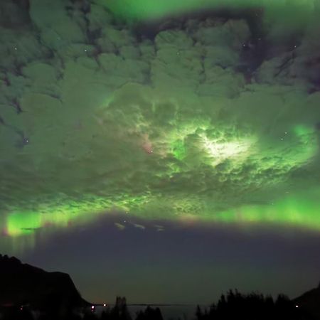 Rystad Midnight Sun And Nature Apartment Bagian luar foto