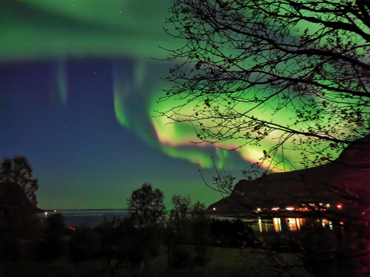 Rystad Midnight Sun And Nature Apartment Bagian luar foto