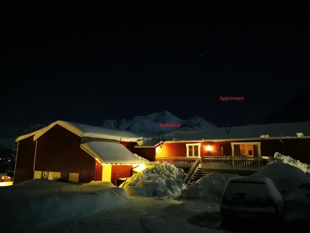 Rystad Midnight Sun And Nature Apartment Bagian luar foto