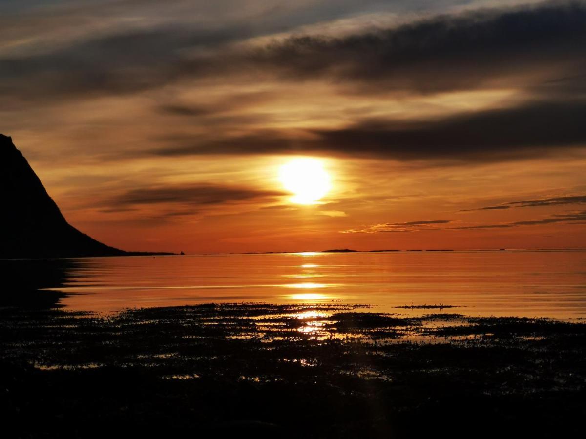 Rystad Midnight Sun And Nature Apartment Bagian luar foto